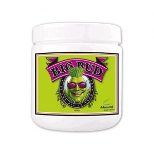 BIG BUD POWDER IN POLVERE 130 GR- ADVANCED NUTRIENTS