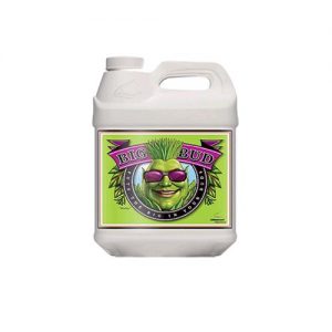 BIG BUD 250 ML- ADVANCED NUTRIENTS