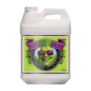 BIG BUD 500 ML- ADVANCED NUTRIENTS