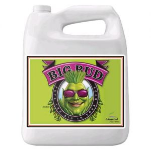 BIG BUD 4 L- ADVANCED NUTRIENTS