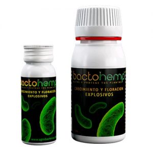 BACTOHEMP 10 GR- AGROBACTERIAS