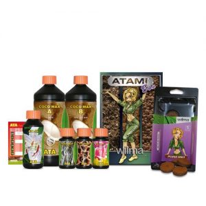 COCO BOX- Atami- B'Cuzz- ATA