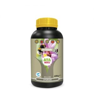 NRG UPGRADE 600 GR- Atami- B'Cuzz-ATA