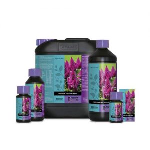 BLOSSOM BUILDER 1 L- Atami- B'Cuzz- ATA