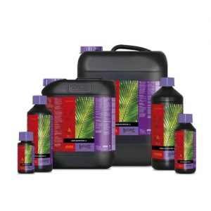 COCO NUTRITION A+B 2 X 1 L- Atami- B'Cuzz- ATA
