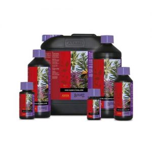 COCO BLOOM STIMULATOR 1 L- Atami- B'Cuzz- ATA