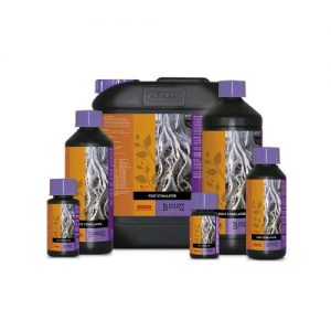 ROOT STIMULATOR 1 L- Atami- B'Cuzz- ATA