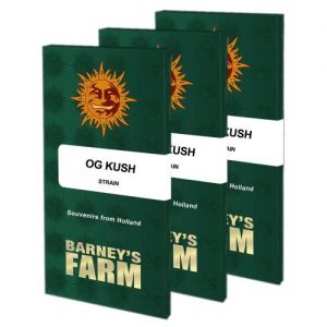 OG KUSH FEM 3 SEMI- BARNEY'S FARM