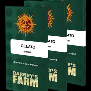 GELATO FEM 10 SEMI- BARNEY'S FARM