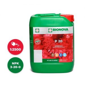 P 20- FOSFORO 20% 5 L- BIONOVA