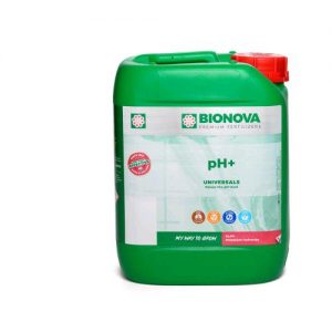 PH + AUMENTO DEL PH 5 L- BIONOVA