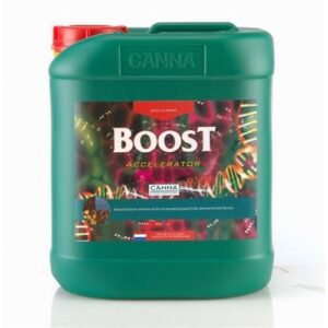 BOOST ACCELERATOR 10 L- CANNA