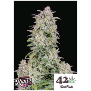 FORBIDDEN RUNTZ AUTO- FAST BUDS