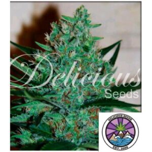 FRUITY CHRONIC JUICE FEM- DELICIOUS SEEDS