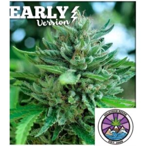 DELICIOUS COOKIES- EARLY VERSION- DELICIOUS SEEDS