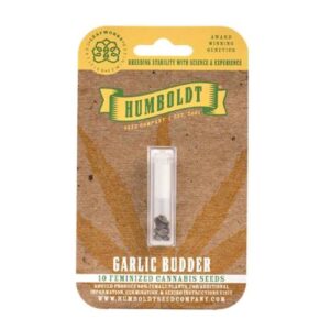 GARLIC BUDDER FEM 3 SEMI- HUMBOLDT SEED COMPANY