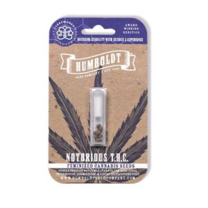 NOTORIOUS THC FEM 3 SEMI- HUMBOLDT SEED COMPANY