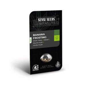 BANANA FROSTING FEM- RESEARCH- SENSI SEEDS