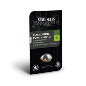 MANDARIN PUNCH AUTO- RESEARCH- SENSI SEEDS